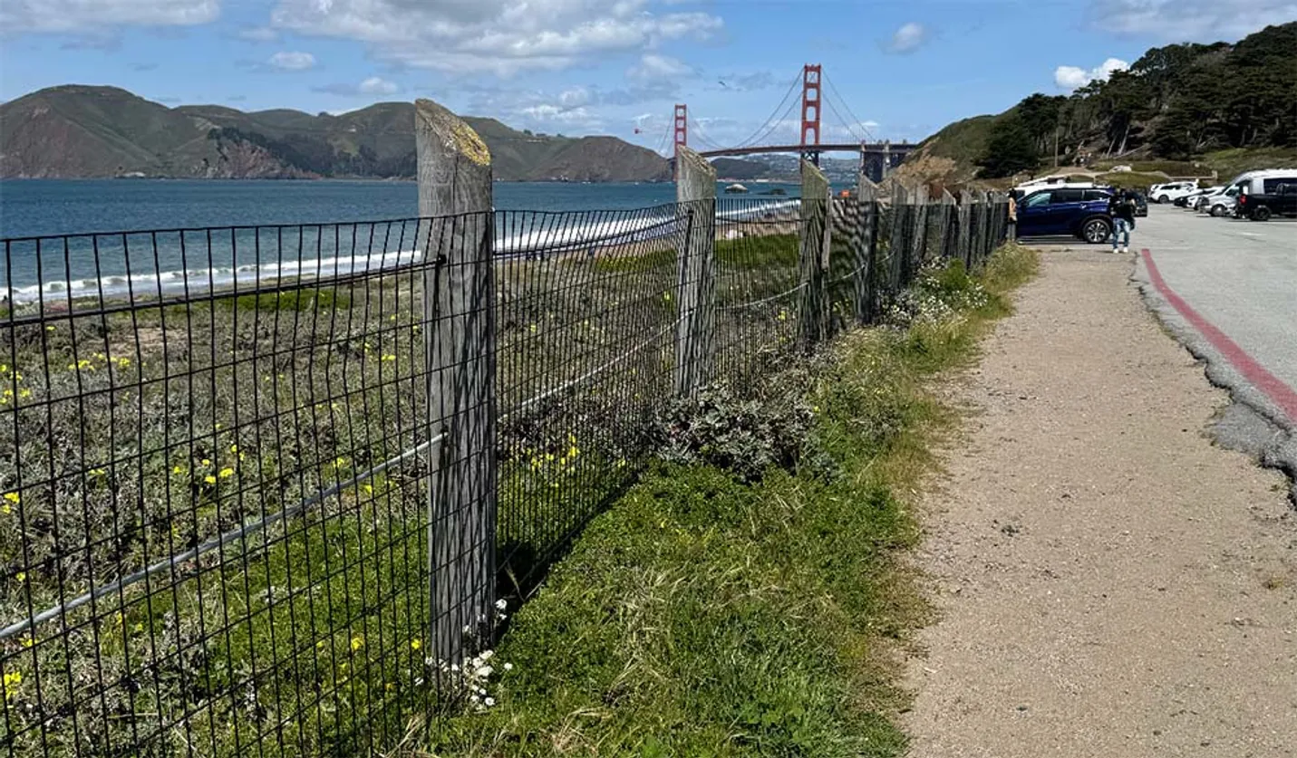 Wire along walkway