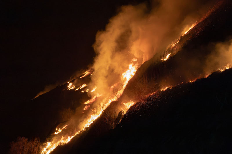 Ember-Resistant Vent Mesh: What California's 2026 Wildfire Code Requires
