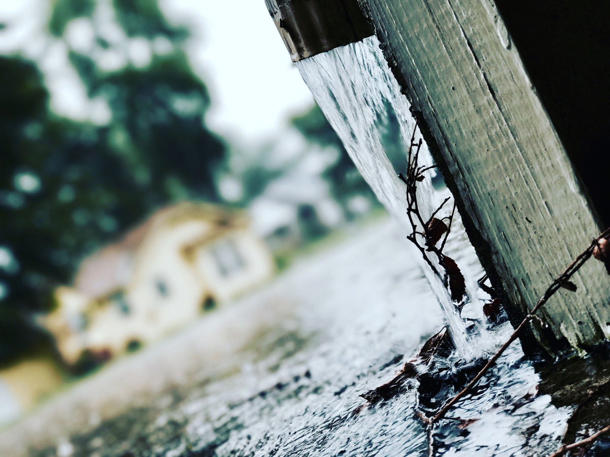 Getting Ready for El Niño in the Bay Area: Gutters, Downspouts, Drains, and Rain Barrels