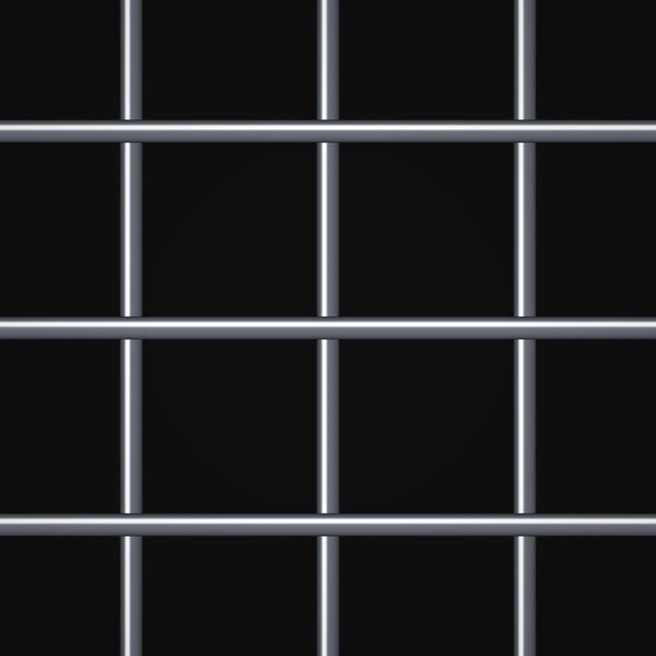 2.5 Mesh – .047" Wire Diameter – Stainless Steel Type 304 Welded Wire – 40" x 100 FT Roll