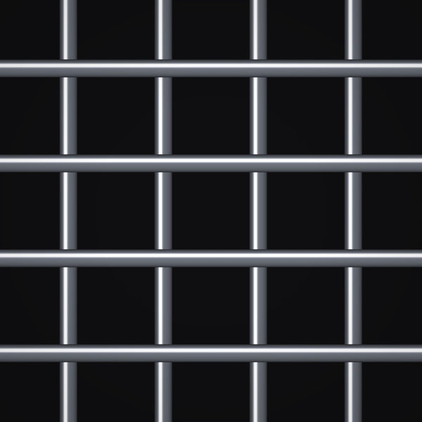 4 Mesh – .047" Wire Diameter – Stainless Steel Type 304 Welded Wire – 48" x 100 FT Roll