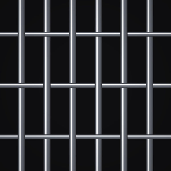 6 x 2 Mesh – .047" Wire Diameter – 304 Stainless Steel Woven Wire – 36" Wide