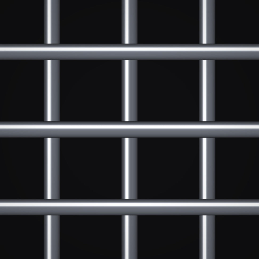 Close-up of 316 stainless steel welded wire mesh with 1/2" openings