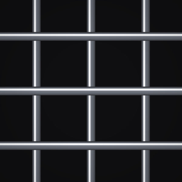 2 Mesh – .080" Wire Diameter – Stainless Steel Type 316 Welded Wire – 48" x 100 FT Roll