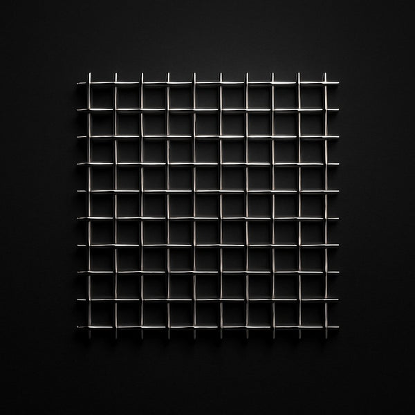 304 SS Welded wire mesh