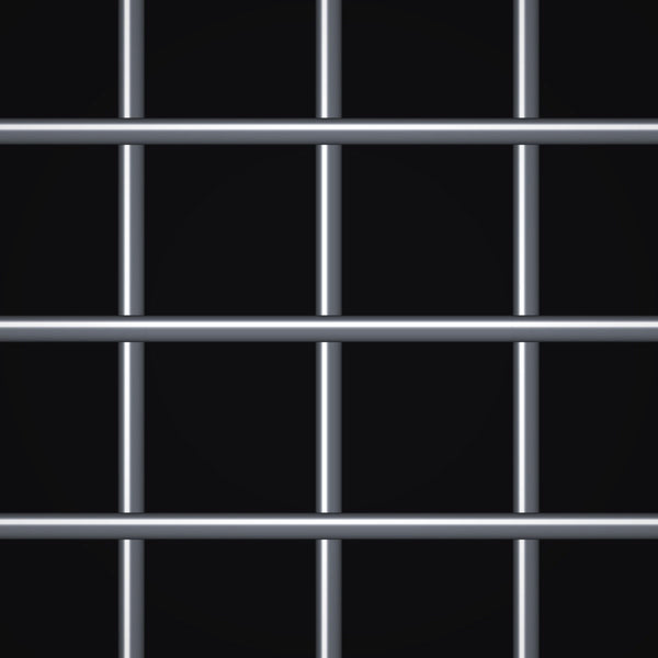 Close-up of plain steel welded wire mesh with 1" x 1" openings