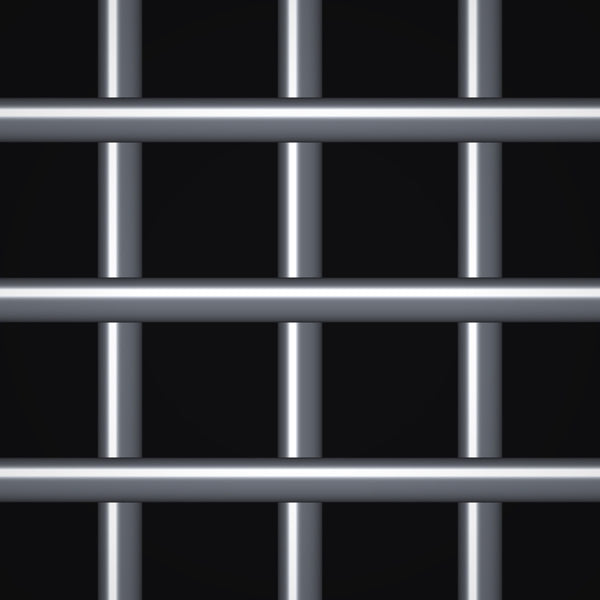 1" x 1" Mesh – .250" Wire Diameter – Plain Steel Welded Wire – 48" x 120" Sheet