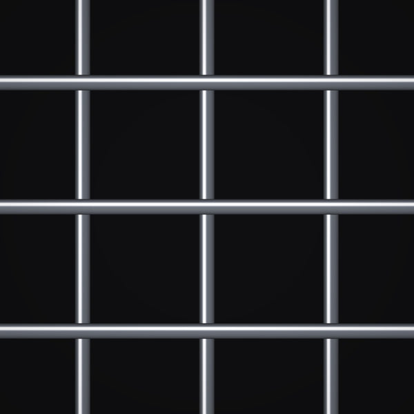 2" x 2" Mesh – .250" Wire Diameter – Plain Steel Welded Wire – 48" x 8 FT Sheet