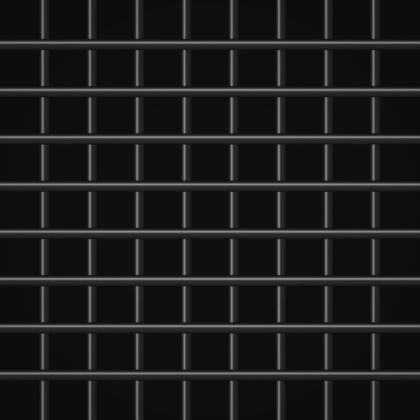 PVC Black · Welded Wire Mesh · 2" × 2" · UE2"x2"12.5-54"White