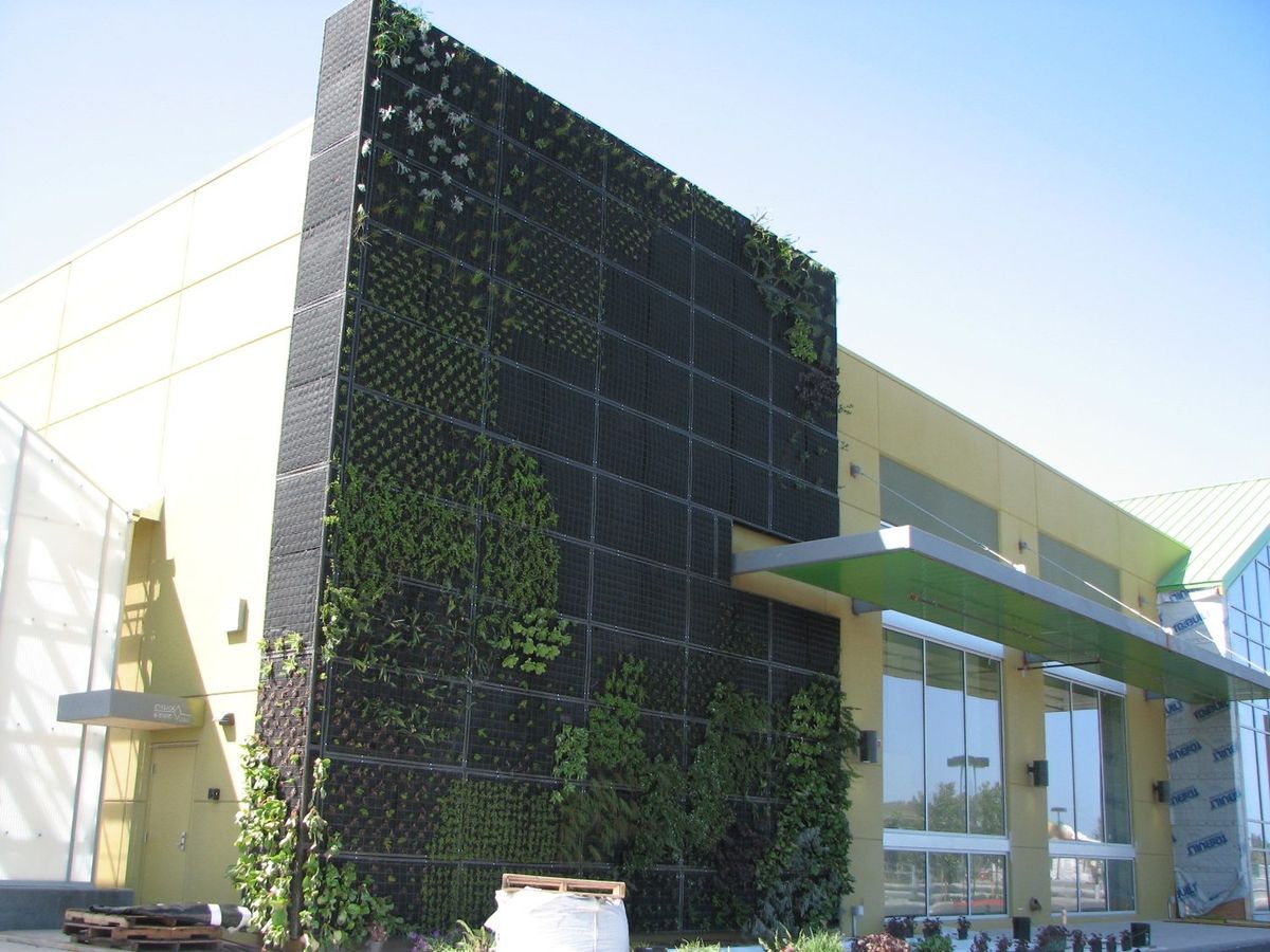 Living Wall