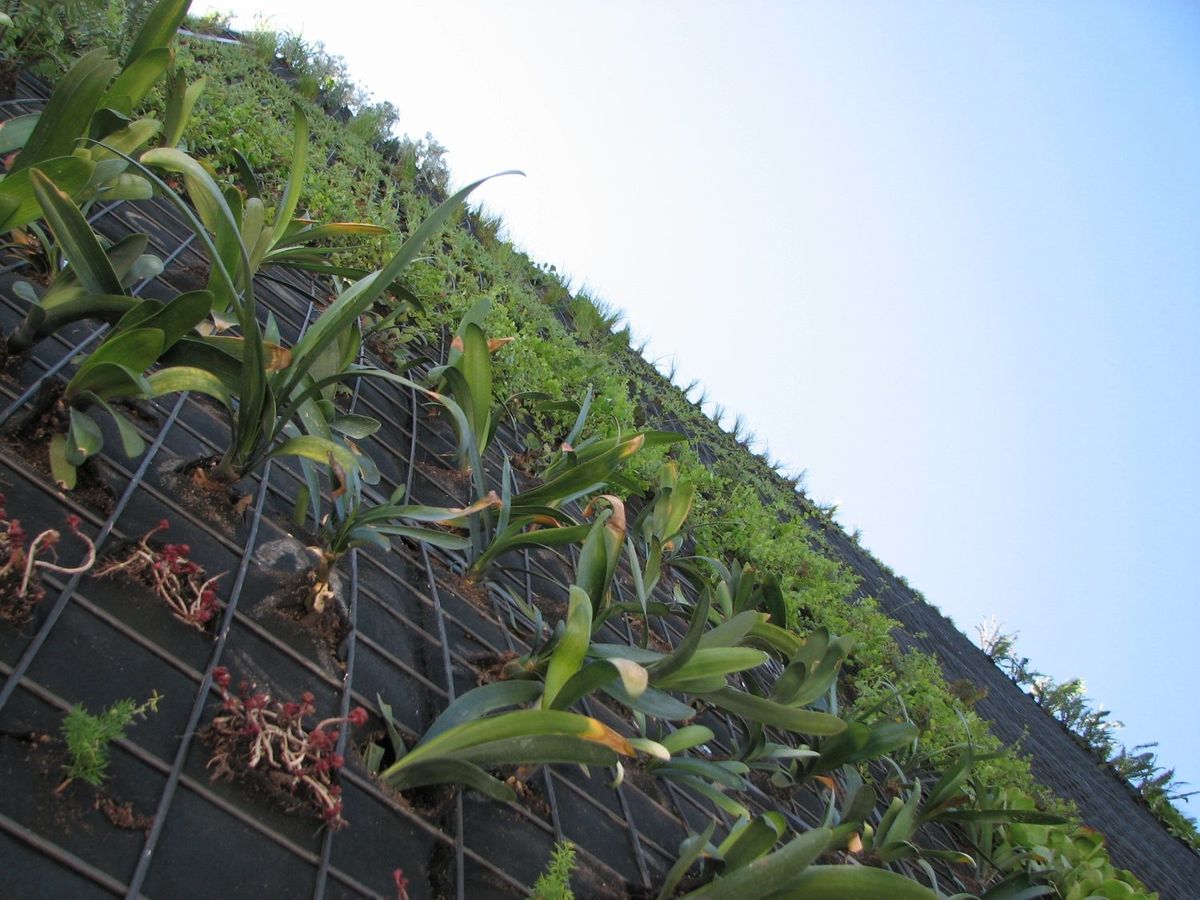Living Wall Facade