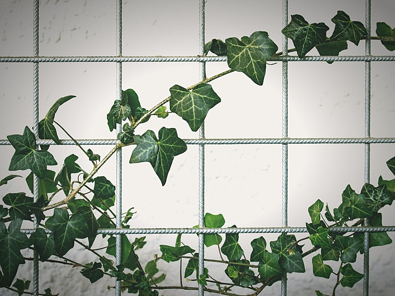 Agriculture &amp; Gardens